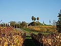 * Nomination Viewpoint on the Kreuzberg on the wine island near Nordheim --Ermell 11:41, 23 November 2022 (UTC) * Promotion  Support Good quality. --FlocciNivis 12:31, 23 November 2022 (UTC)