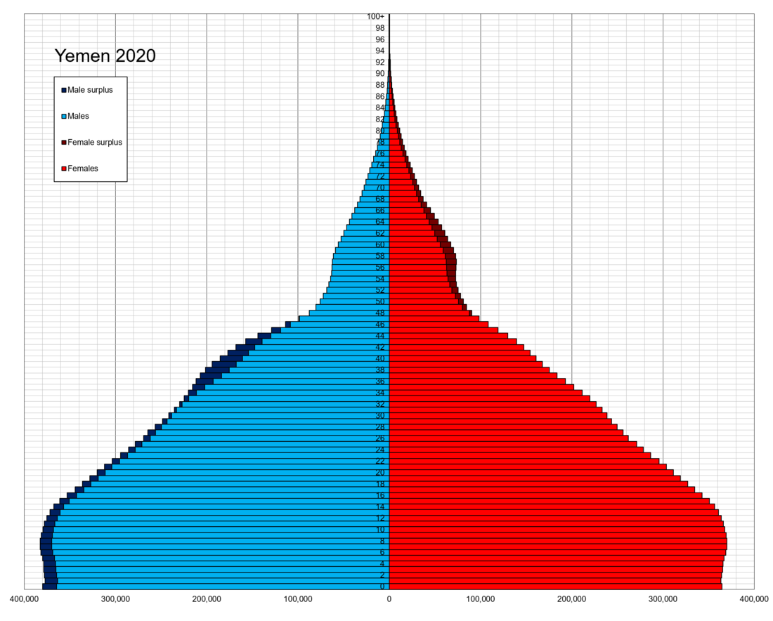 File:Yemen single age population pyramid 2020.png