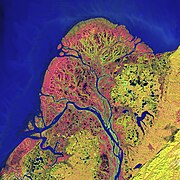 Супутниковий знімок дельти, 2002 рік, штучні кольори