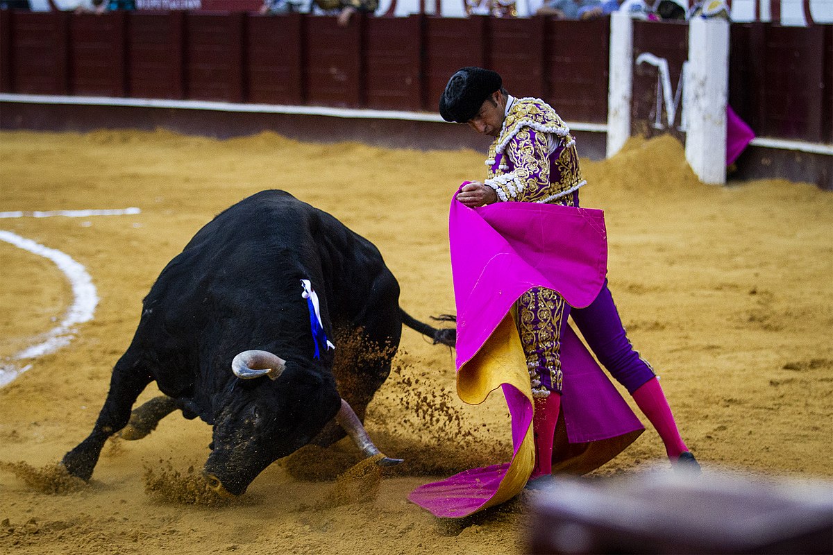 Spanish-style bullfighting - Wikipedia