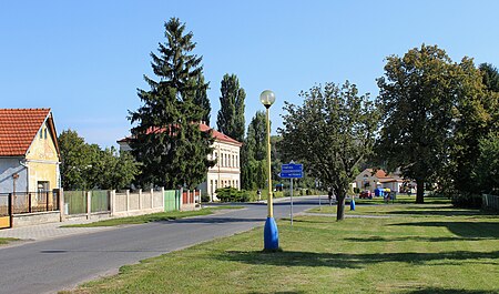 Úmyslovice, common