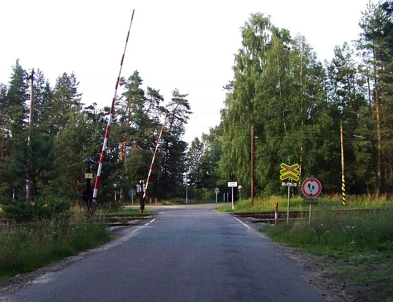 File:Čermná nad Orlicí, přejezd u Korunky, od Dolního Jelení.jpg