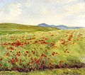 Макавае поле, 1903-05