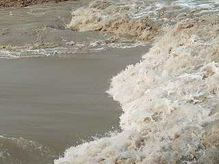 <span class="mw-page-title-main">Bhodra River</span> River in Khulna Division, Bangladesh