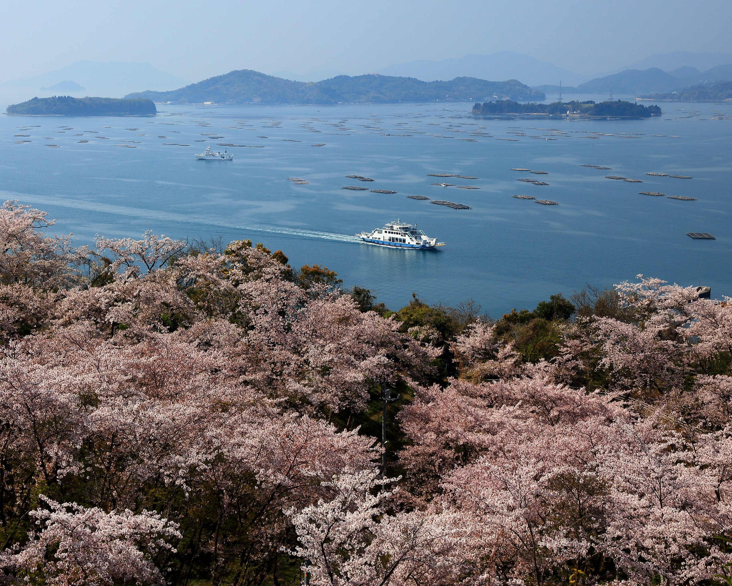 File 正福寺山公園 9645f987 Ecbe 4a41 9fef 94eb4c9a7074 Jpg Wikimedia Commons