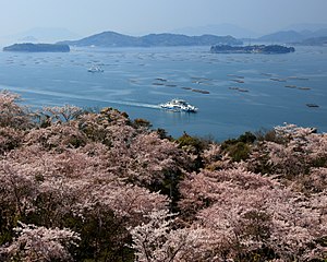 航路以外はカキ筏が浮かぶ三津湾（東広島市）。三津では1960年代から養殖が始まった。