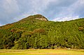 2017年10月14日 (土) 15:04時点における版のサムネイル