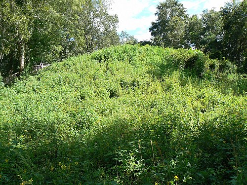 Mound 2 at Lake Jackson Mounds Archaeological State Park