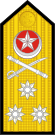 14-Пәкістан Әскери-теңіз күштері-VADM.svg