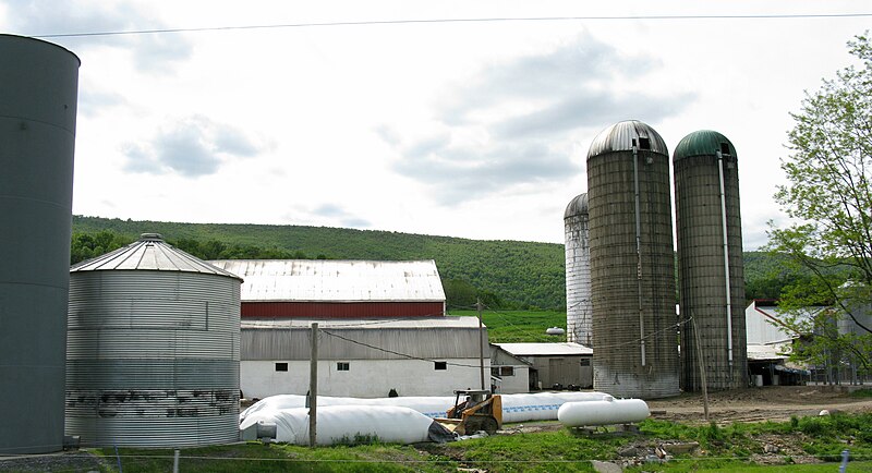 File:1687 - Hopewell Twp - Agriculture along PA26.JPG