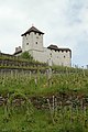 English: Gutenberg castle in Balzers, Liechtenstein Deutsch: Schloss Gutenberg in Balzers, Liechtenstein