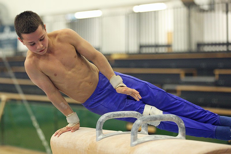 File:2019-05-24 Budapest Cup training pommel horse (Martin Rulsch) 462.jpg