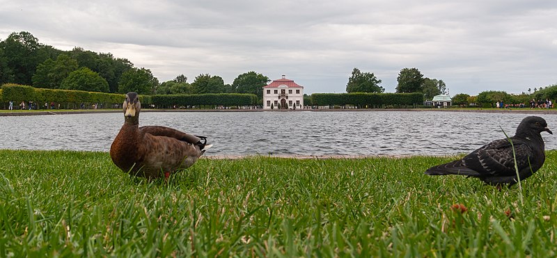 File:2019-08-02-3875-Saint Petersburg.jpg