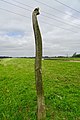 Froschkönig door Karina Cooper (Westoverledingen nabij Leer)