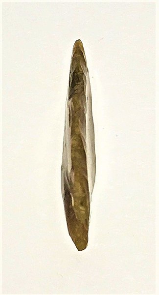 File:ARROWHEAD (FindID 1026937-1142645).jpg