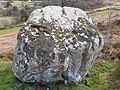 A glacial erratic (boulder), covered in lichen and moss, on the slopes of Moel-y-Ci.jpg