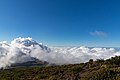 Above the clouds at Haleakala National Park Maui Hawaii (45740656321).jpg