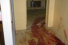 Abu Ghraib 11a.jpg