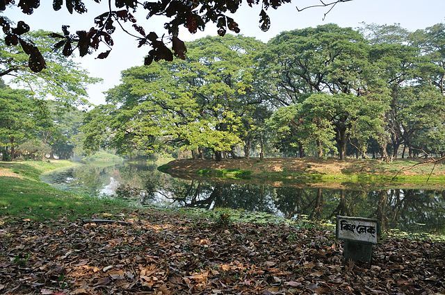 Image: Acharya Jagadish Chandra Bose Indian Botanic Garden   Howrah 2011 01 08 9756