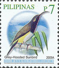 A Philippine stamp in 2009 depicting the Grey-hooded Sunbird Aethopyga primigenia 2009 stamp of the Philippines.jpg