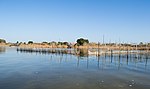 Lagunen und mediterrane Feuchtgebiete in der Valencianischen Gemeinschaft