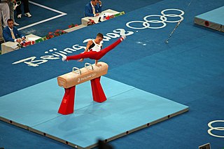 <span class="mw-page-title-main">Gymnastics at the 2008 Summer Olympics – Men's pommel horse</span> Olympic gymnastics event
