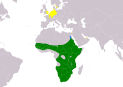 Distribución del ganso del Nilo