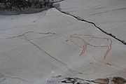 English: Rock art in the world heritage area in Alta, Norway. This is from the area Bergbukten 3a, a group of some 40 figures. 18-20 m above sea level, and 5000-6000 years old.