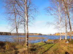 Alvajärvi shore3.jpg