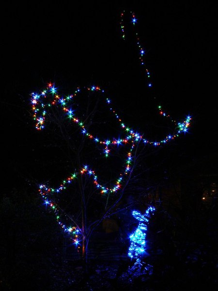 File:An illuminated tree, Westonbirt Arboretum, Tetbury - geograph.org.uk - 1080516.jpg