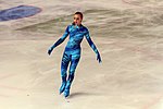 Thumbnail for 2013 French Figure Skating Championships