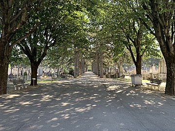 Allée principale issue de l'entrée au 1 rue du cimetière (ancien cimetière).