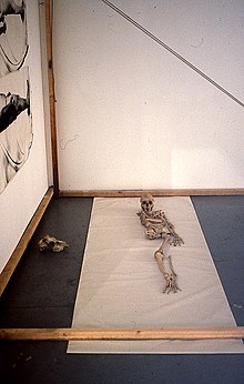 Shemilt's installation, Ancient Death Ritual was selected by Helen Chadwick for the Hayward Biennale of 1979 AncientDeath.jpg