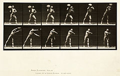 Animal locomotion. Plate 311 (Boston Public Library).jpg