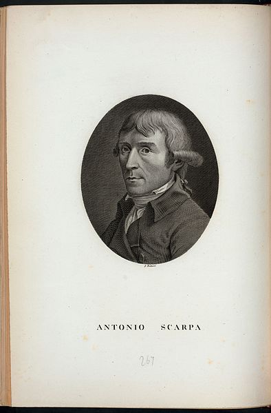 File:Antonio Scarpa (NYPL Hades-255415-431322).jpg