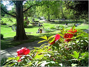 Botanischer Garten Freiburg: Geschichte, Anlage, Anbindung