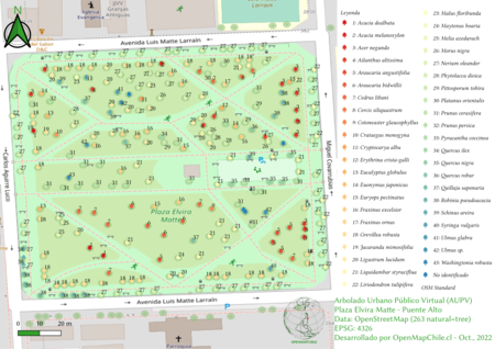 Mapa del arbolado urbano de plaza.