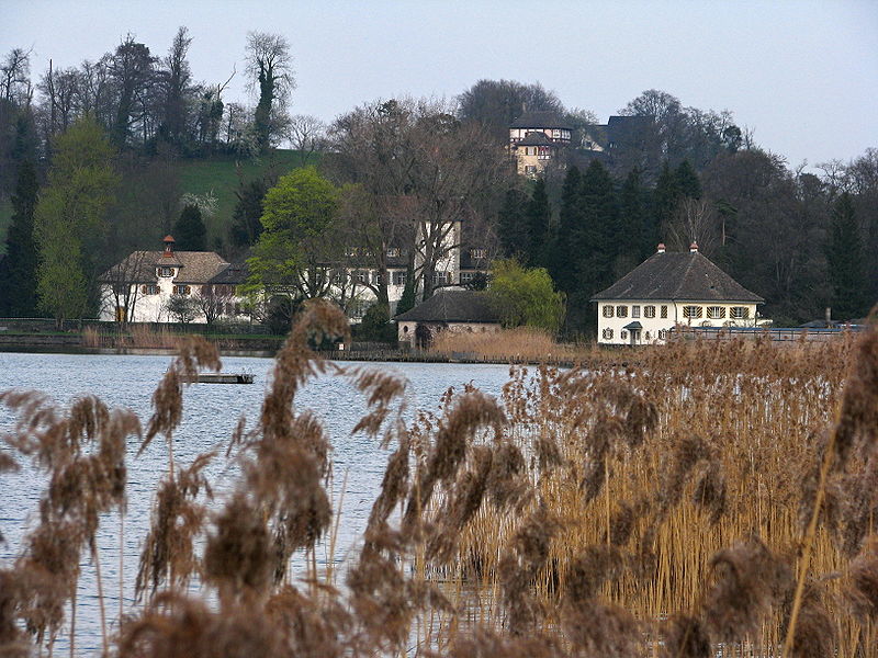 File:Au Halbinsel - Schloss Au (Werdmüller Gut) - Au (ZH) IMG 6337.JPG