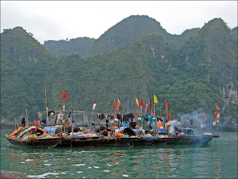 File:Bâteaux de pêcheurs dans la baie dHalong (4375410786).jpg