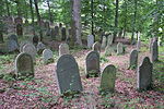 Bödigheim Jüdischer Friedhof 2786.JPG