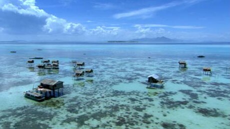 Bajau