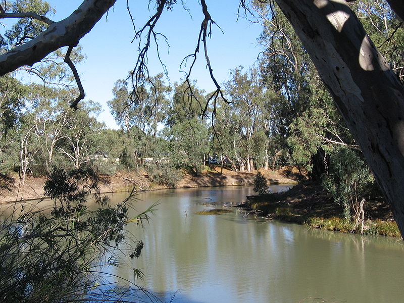 File:BalranaldMurrumbidgeeRiver.JPG