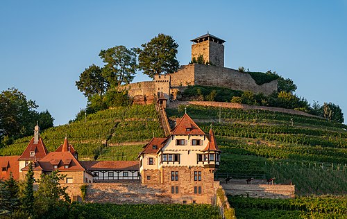 Beilstein - Burg Hohenbeilstein und Unteres Schloss - Ansicht vom Birkenweg mit Abendsonne.jpg