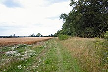 Kara Kanallar, Cavenham yakınında - geograph.org.uk - 34222.jpg