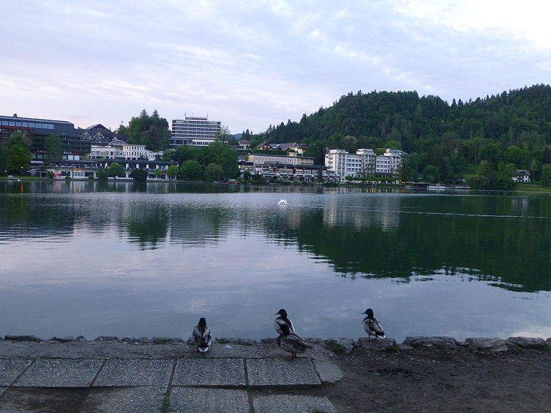 File:Bled (8898333442).jpg