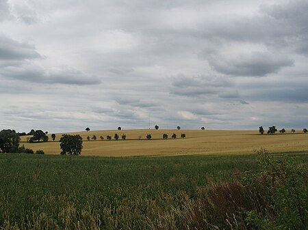 Blick auf die Baeyerhöhe