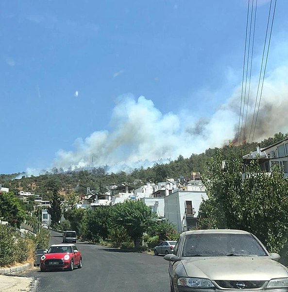 File:Bodrum 31 July 2021 wilfires.jpg