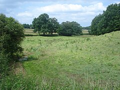 Le Boischaut Sud, 2008.