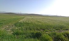 Borzelabad countryside Borzelabad932.jpg