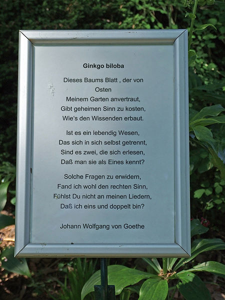 File:Botanischer-garten-ffm014e.jpg